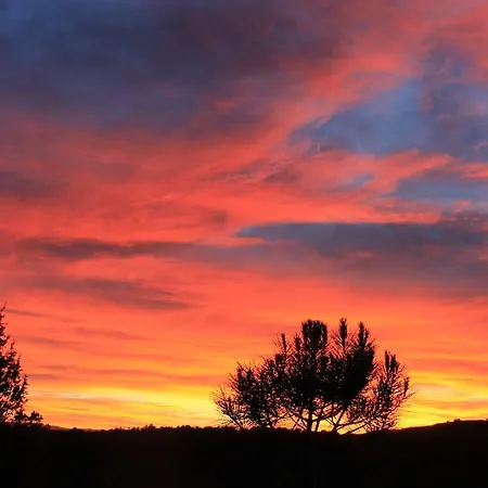 Landsted Masia Toranes - Destino Starlight