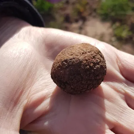 Masia Toranes - Destino Starlight Landsted Rubielos De Mora