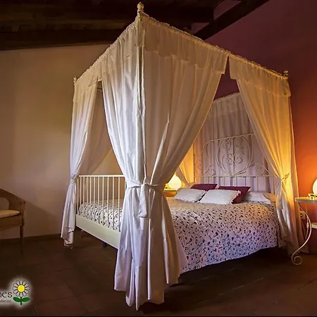 Masia Toranes - Destino Starlight Landsted *