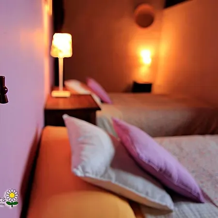 Masia Toranes - Destino Starlight Landsted