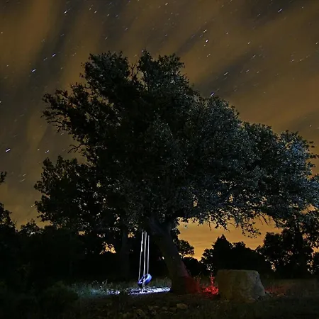 Masia Toranes - Destino Starlight *